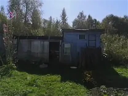 Липовая гора ярославль телищево расписание. Липовая гора ярославль телищево расписание. Церковь в телищево ярославль. Поселок великая речка. Липовая гора платформа.