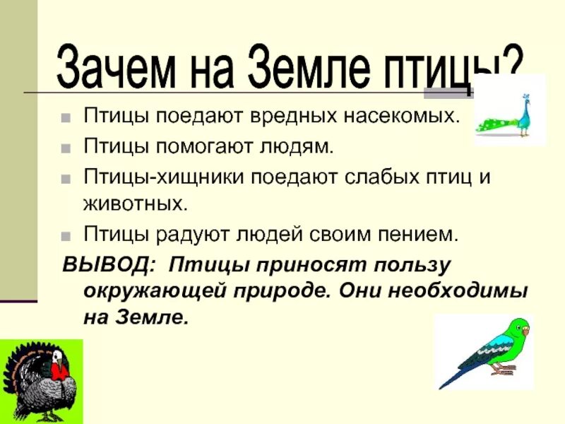 Почему птицы совершают. Вывод о птицах. Зачем птицы на земле. Какую пользу приносят птицы. Польза птиц для человека.