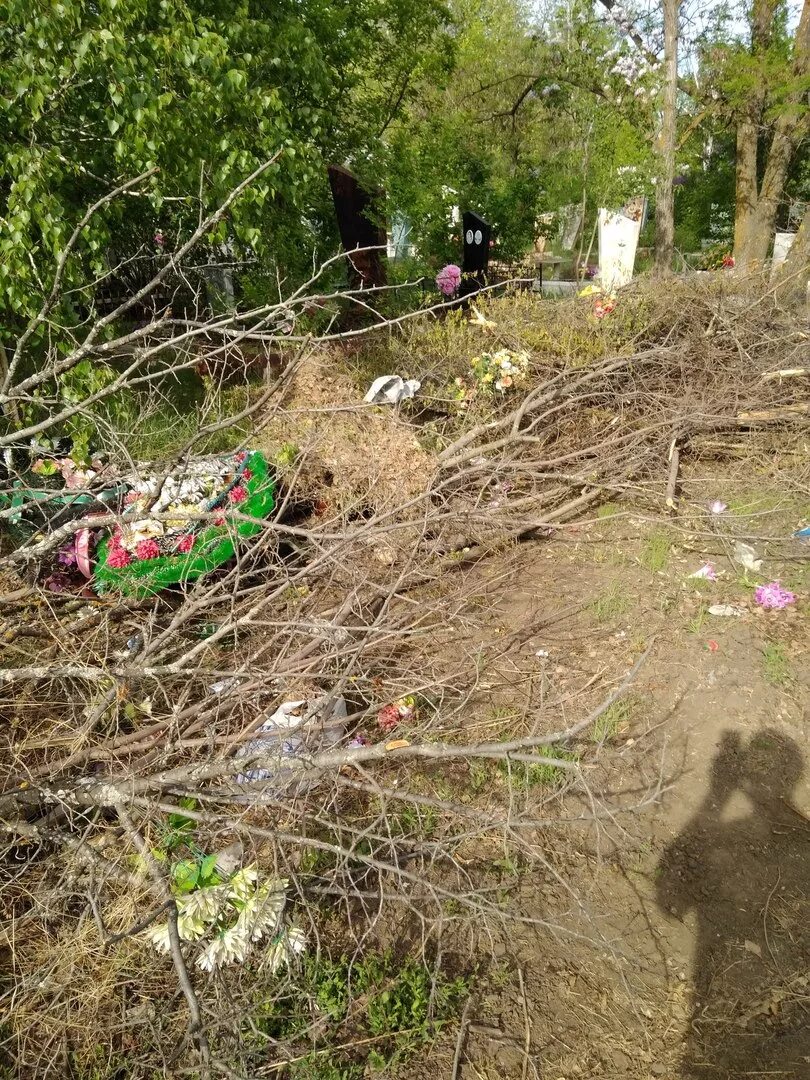Старое кладбище балаково номер 1. Кладбище 3 балаково. Старое кладбище балаково номер 1. Балаково работа кладбища. Балаково работа кладбища.