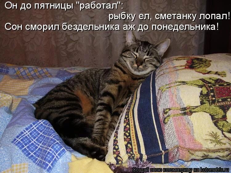 Что будет идти в понедельник. Понедельник сон бездельник. понедельник пятница. с понедельника до пятницы. пятница день тяжелый.