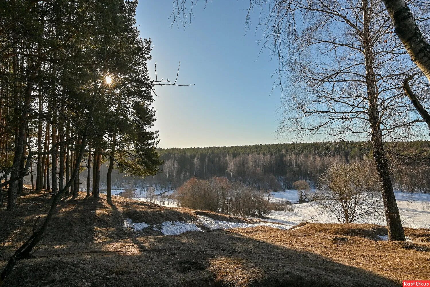 Подмосковье летом фото. Фото подмосковья сейчас. Фото дня сегодня лучшее. Фото подмосковье сегодня. Фото подмосковья сейчас.