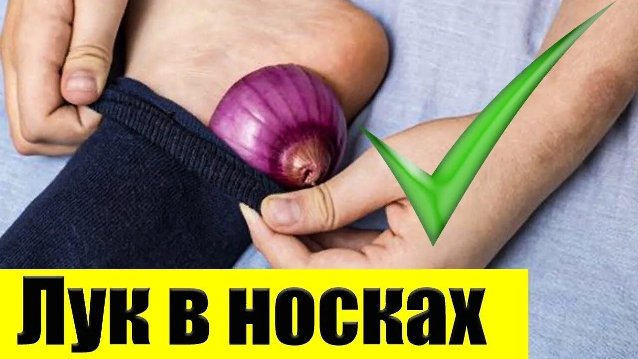 советы для ухода за своим здоровьем. что будет если спать с луком в носках. лук на ночь можно есть. лук в носочки на ночь детям. не ешьте лук.