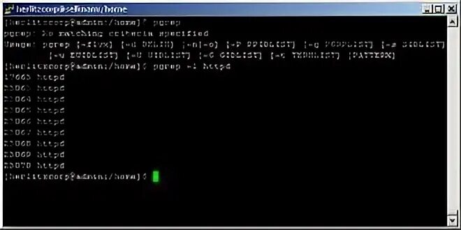Pgrep linux