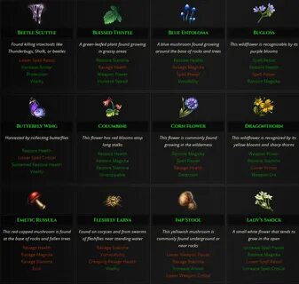 Рецепты teso