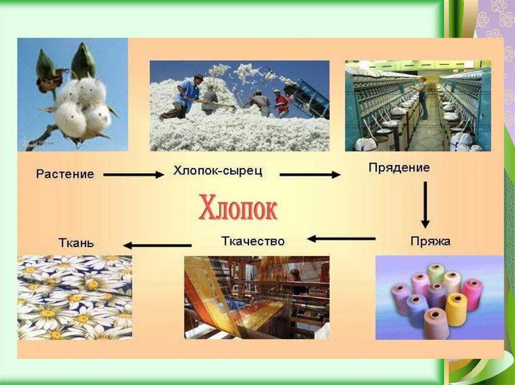 Растительные волокна свойства. Натуральные ткани растительного происхождения. Растительные волокна презентация. Натуральные волокна 5 класс технология. Преимущества хлопка.