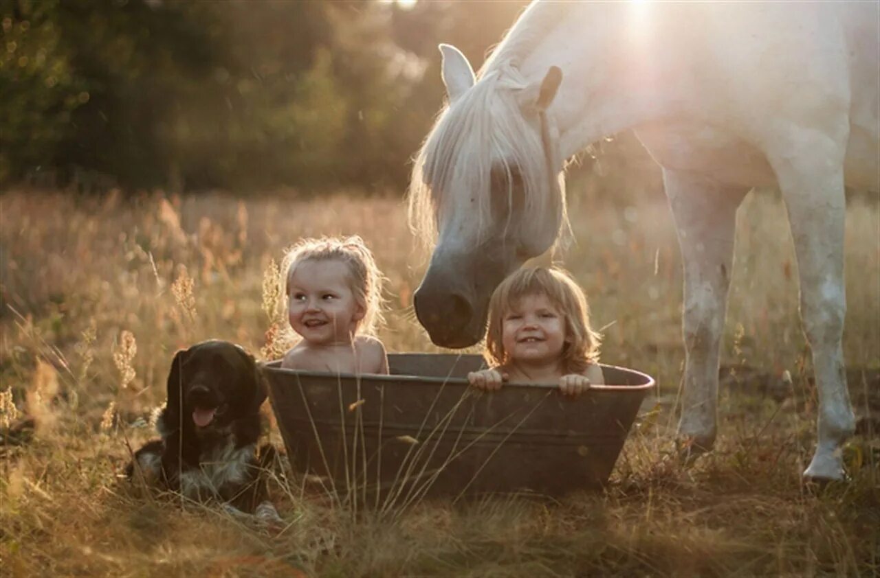 Country children. Для детей. Животные. Дети с животными. Детская фотосессия с лошадьми. Дети в деревне с животными.