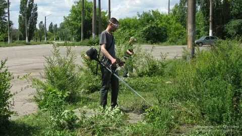Красногорские покосы