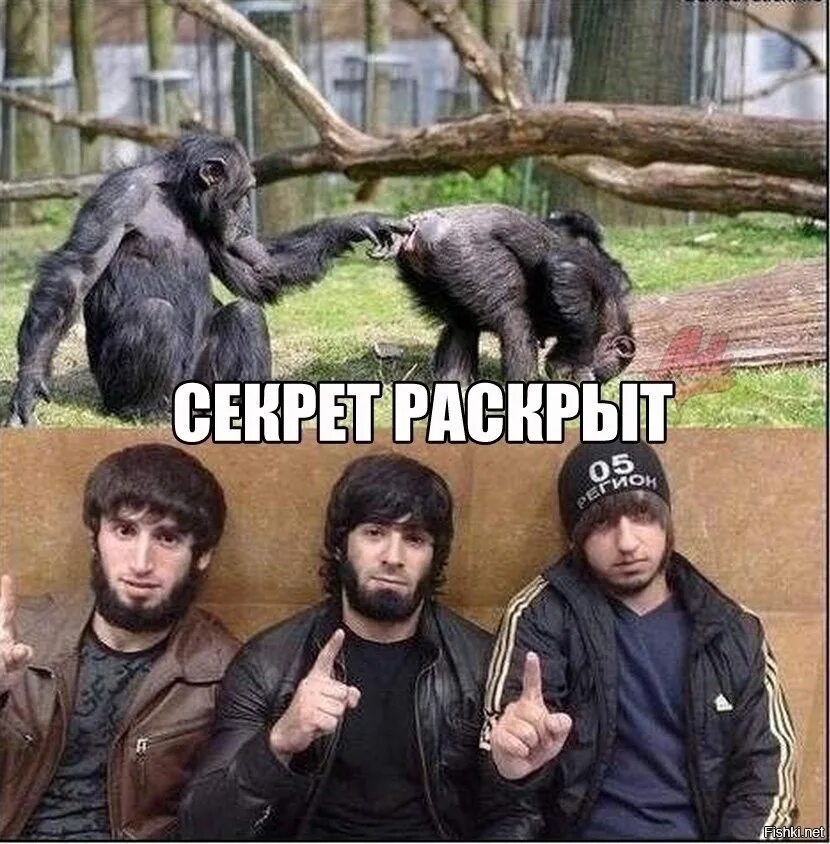 Не раскрыт вместе с