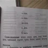 Запиши проверочные слова вставь буквы лес