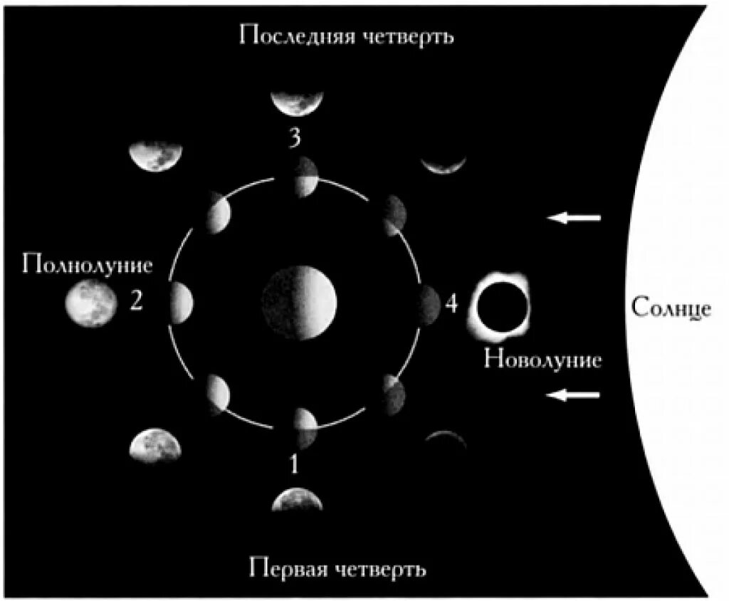 Схема полнолуния. Схема лунных фаз. Фазы Луны схема. Расположение Луны относительно земли. Полнолуние схема.