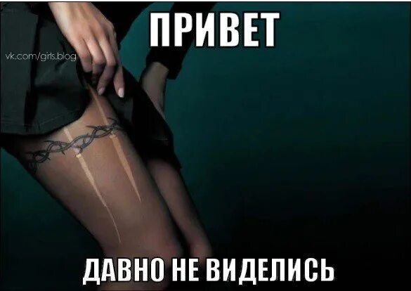 Слушать как давно не виделись. Привет давно не виделись. рваные колготки прикол. привет давно не виделись картинки. давно не виделись фото.