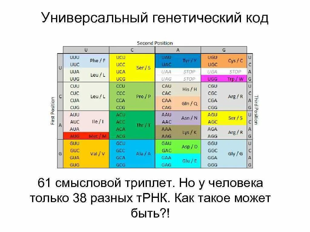 Длина генетического кода. Генетический код человека. Генетический код универсален. Код универсальный генетика. Универсальный генетический код таблица.