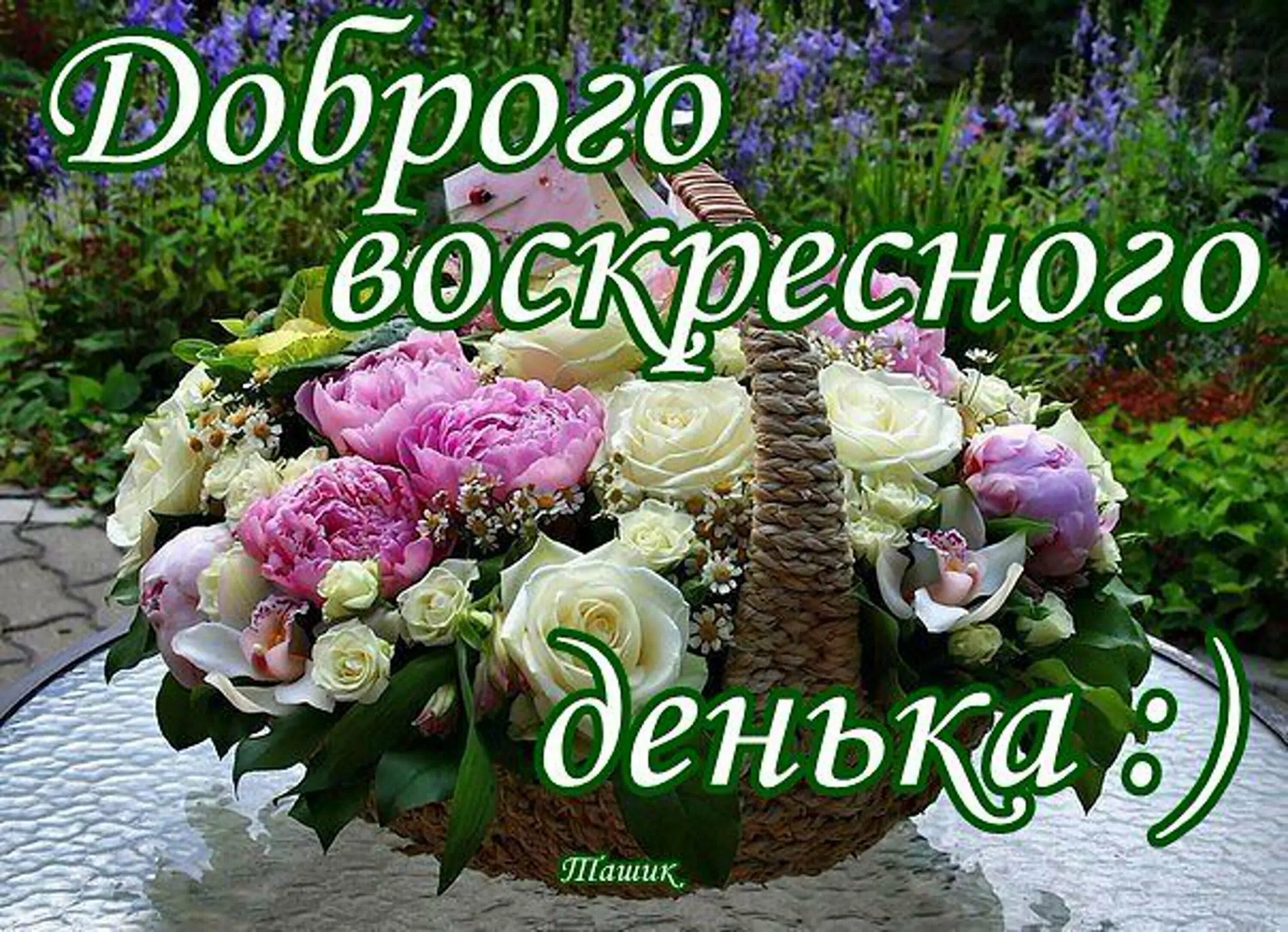 Воскресный это какой. Доброго воскресного дня. Прекрасного воскресного дня. Хорошего воскресенья. Отличного воскресного дня.