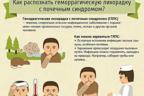 Симптомы геморрагической лихорадки