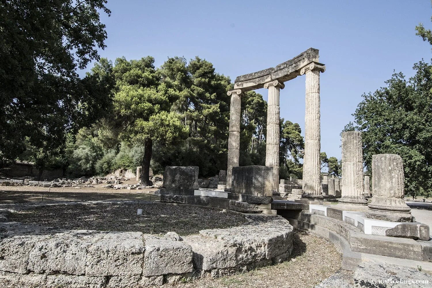 священная роща альтис в олимпии. олимпия сегодня. олимпия город в греции. город олимпия в древней греции. город олимпия в древней греции.