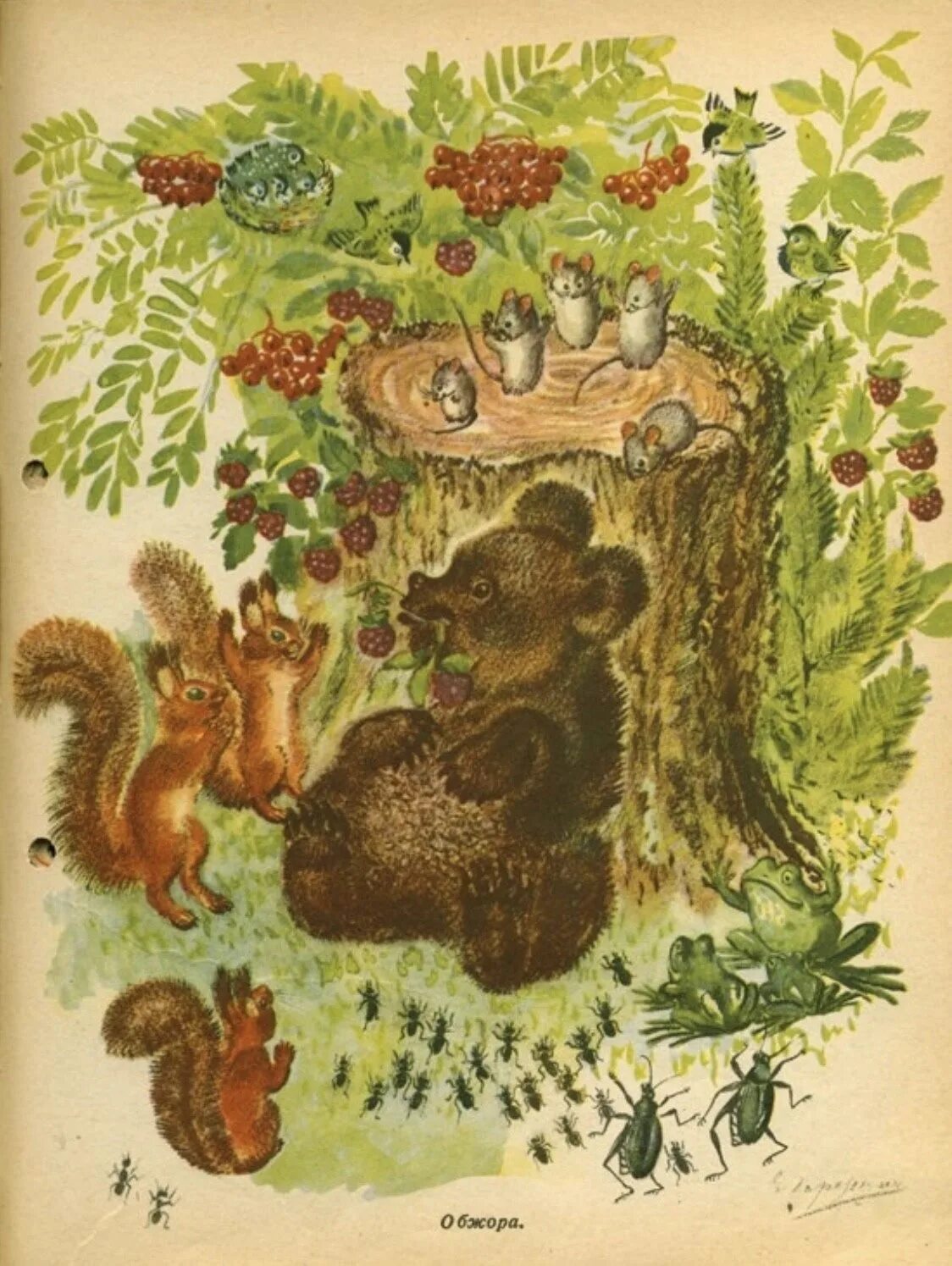 Чарушин волк. Чарушин иллюстратор. Иллюстрации чарушина к сказкам. Чарушин рябчонок иллюстрации. Сказка чарушина рисунок.