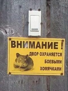 Не заходи в хомяка