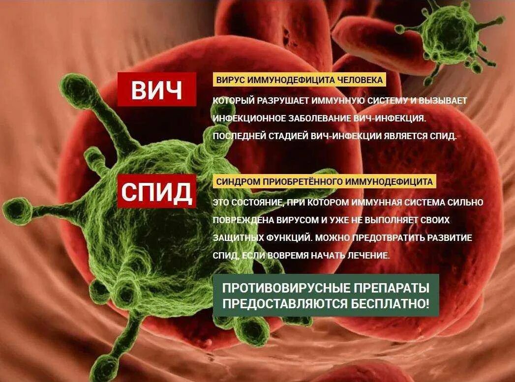 Какое заболевание вызывается вирусами. Инфекционные заболевания вич и спид. вирусная инфекция спид. вич (вирус иммунодефицита человека) вызывает:. спид это вирусное заболевание.