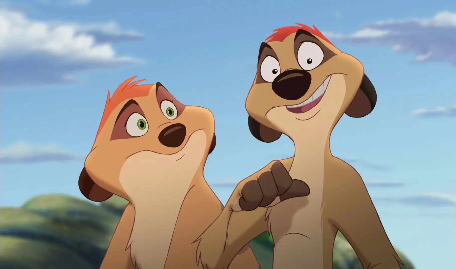 Timon rdd