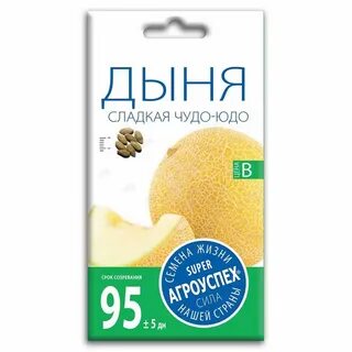 Дыня чудо чудес