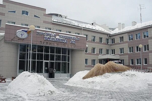 Городская клиническая больница 1 Новосибирск. Горбольница Новосибирск Новосибирск. Больница 1 ГКБ 1 городская клиническая больница Новосибирск. Горбольница 1 корпус Новосибирск.