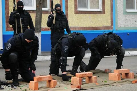 Образование омон