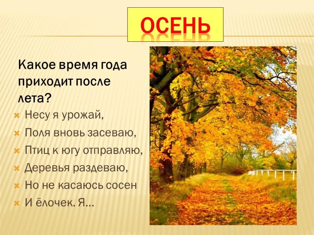 Времена года информатика. Проект времена года. Презентация на тему времена года. Проект на тему времена года. Доклад про времена года.