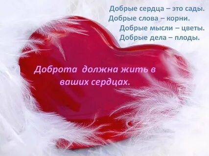 Человек с самым добрым сердцем