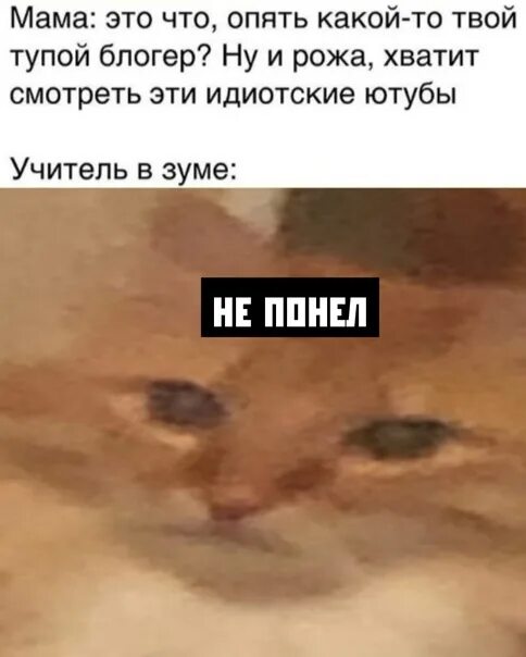 Саркастические мемы. Опять твое. Куда же поступить. Фразы со смыслом. Царь мем.