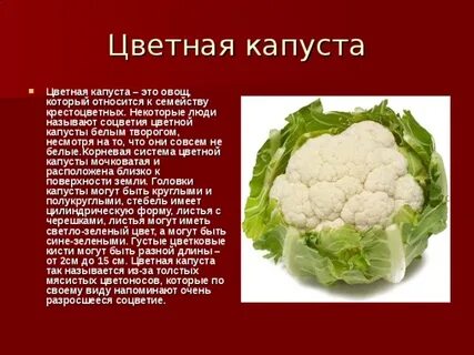 Соцветие капусты