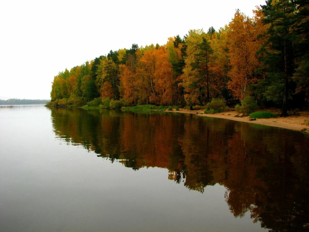 Озеро Волго Селигер. Деревня Казаково озеро Волго. Верхневолжские озера Тверская область. Озеро волго тверская