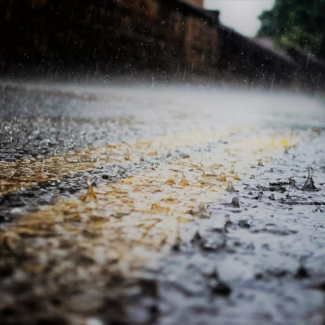 Дождь. Ливень. Проливной дождь. Дождь лужи. It s raining heavily