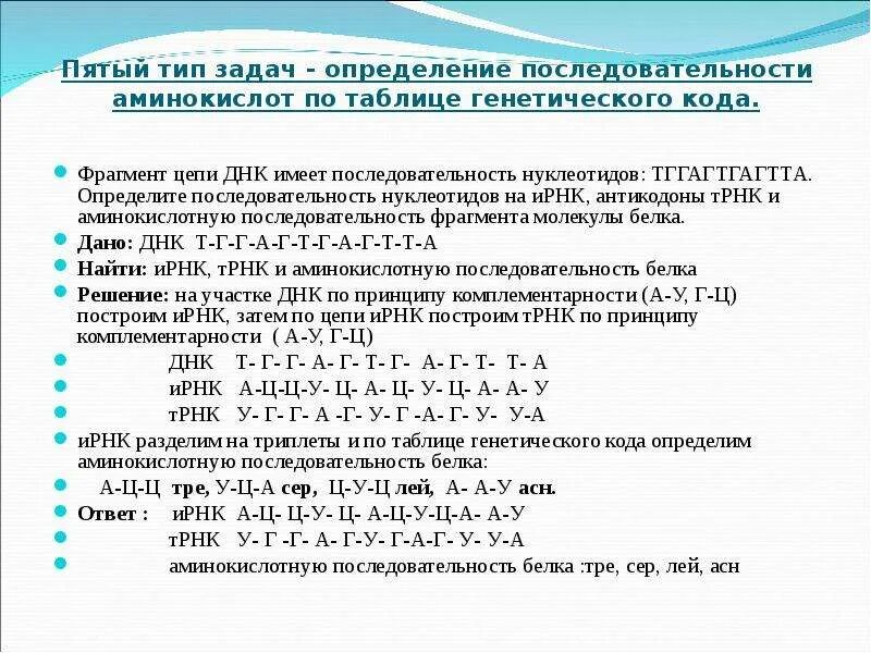 Смысловая и транскрибируемая цепь днк решение. Задачи на последовательность нуклеотидов ДНК И РНК. Как решать задачи на генетический код. Типы генетического кода задачи. Задачи на Цепочки ДНК И РНК.