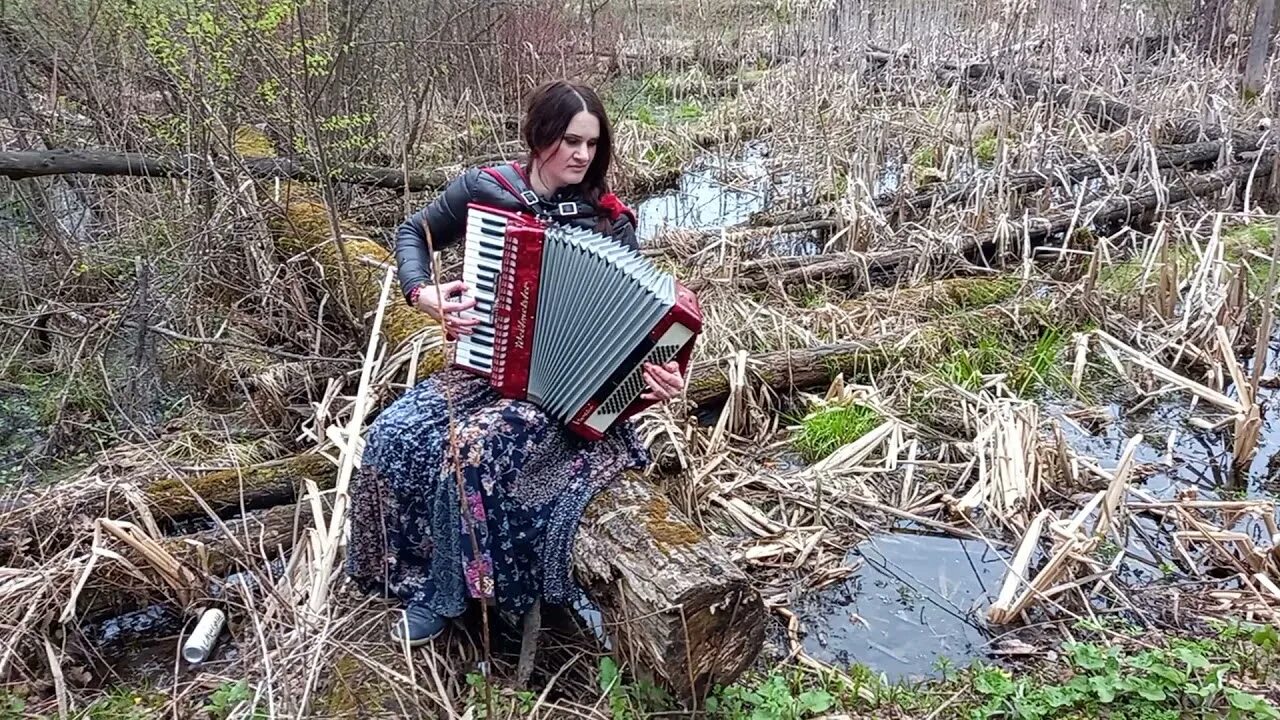 Болотная жизнь. Жизнь болото. Жизнь налегке болота. Тоска Болотная.