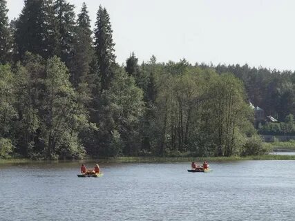 Кубань кострома