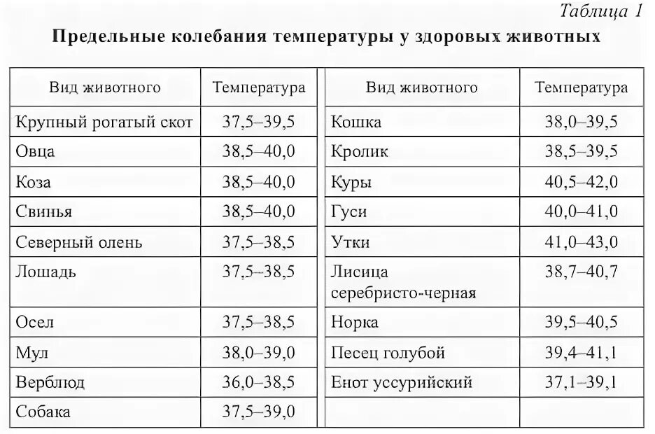 Нормы показателей собак температура. Норма температуры у собак средних и крупных пород. Какая нормальная температура у собаки средней. Норма температуры у собак крупных пород.