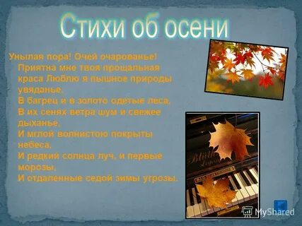 Лето осень зима стих