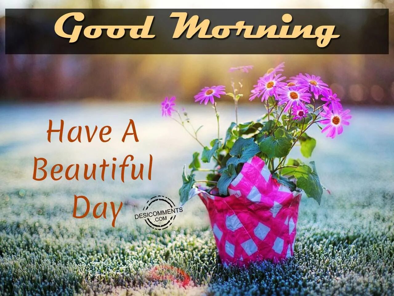 Have a nice day beautiful. Good morning have a beautiful day. бьютифул дэй. good morning have a beautiful day воскресенье. good morning картинки.