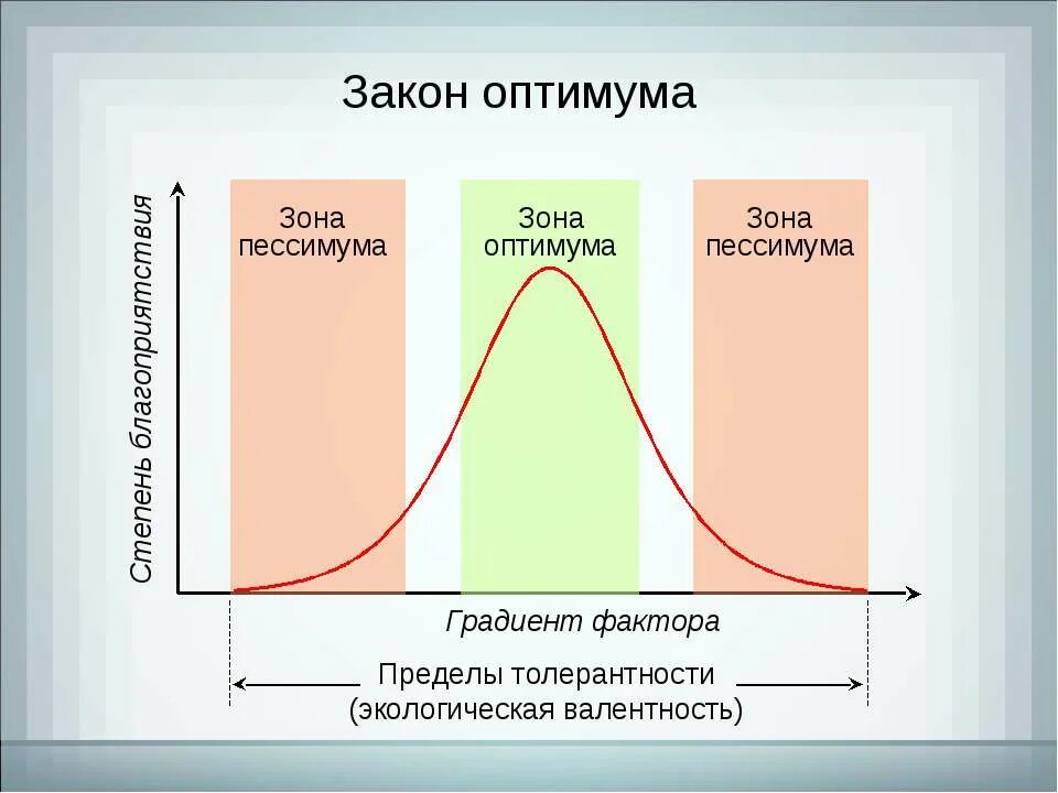 Закон оптимума биология. Зона оптимума зона пессимума. Закон оптимума и пессимума в биологии. Оптимум и пессимум график. Точка оптимума и пессимума.