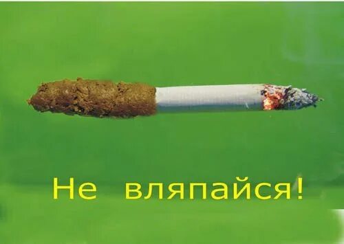 Если бросить курить. Курение. Курение. Строение сигареты. Курение курение и только курение.
