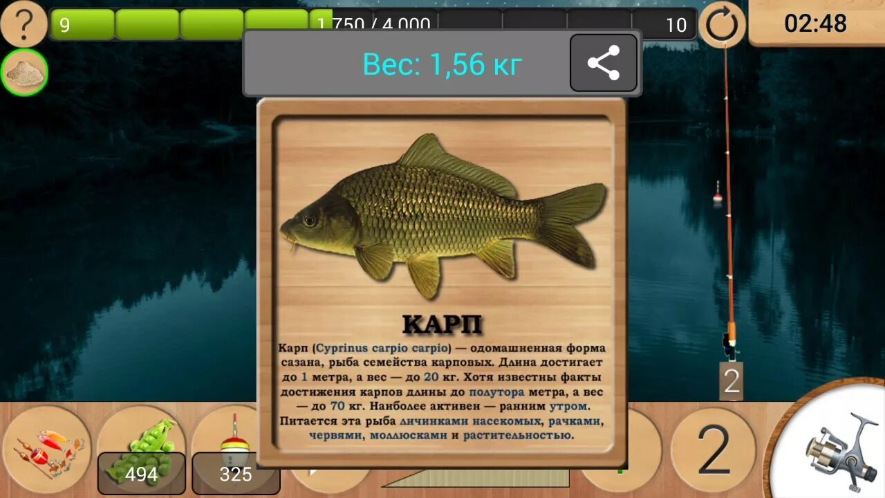 Реальная рыбалка. Игры про рыбалку на андроид. Реальная рыбалка энциклопедия. Игра реальная рыбалка. На что ловить в игре реальная
