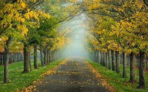 Была ранняя осень и радовали солнечные