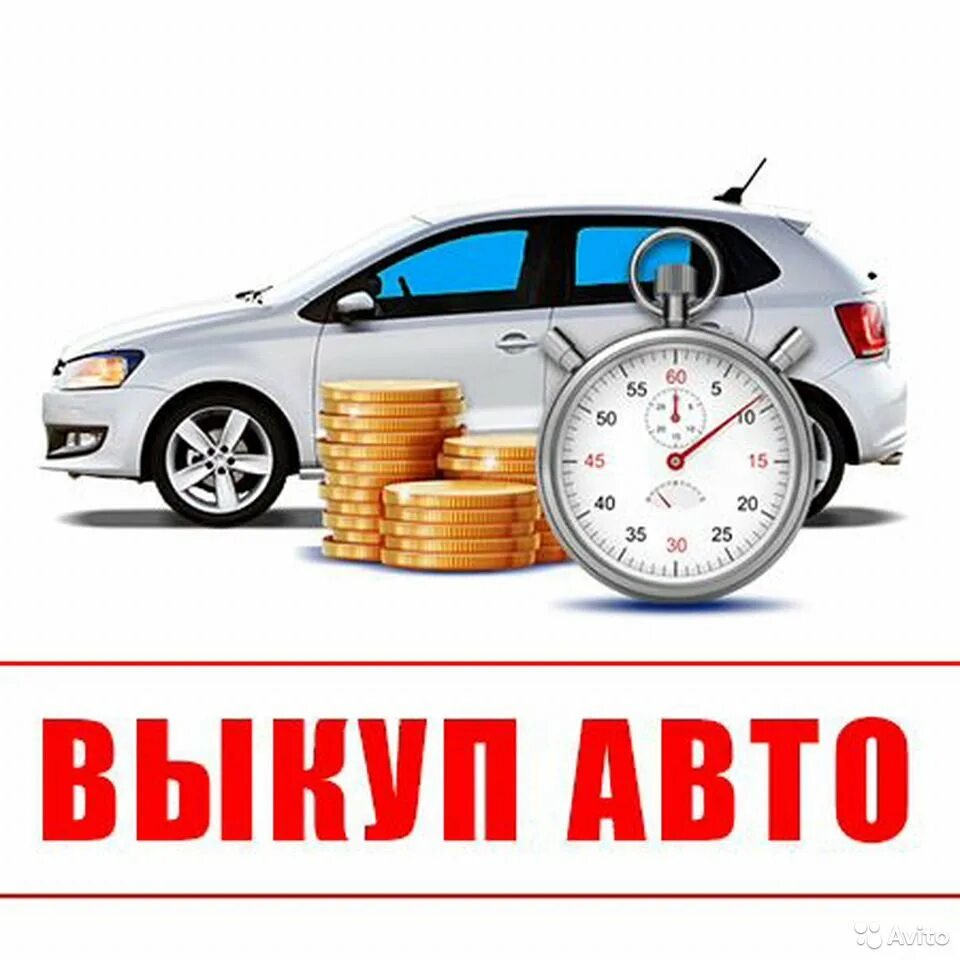 Выкуп авто. Срочный выкуп авто. Автовыкуп авто. Выкуп авто срочно. Под птс ру