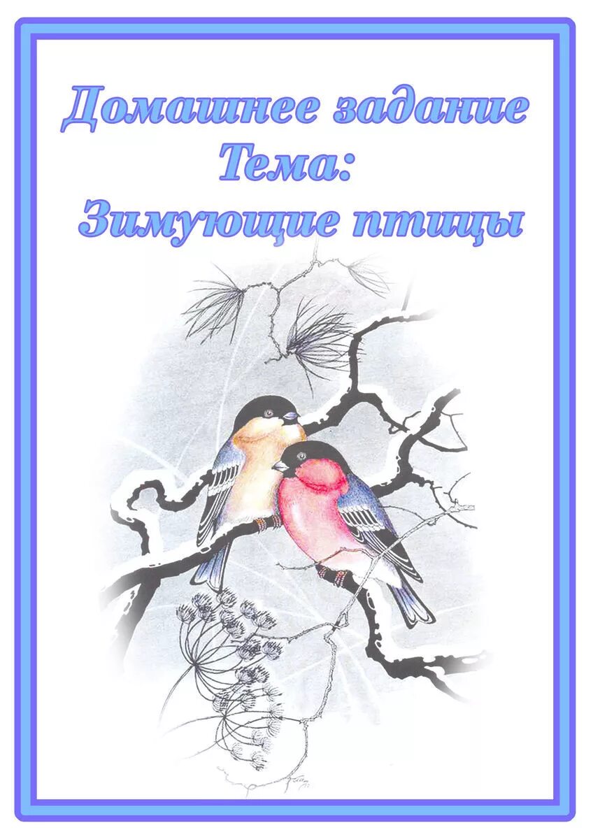 Ктп зимующие птицы. Консультация для родителей по лексической теме зима.зимующие птицы. домашнее задание на тему зимующие птицы. домашнее задание для родителей на тему зимующие птицы. лексическая тема зимующие птицы.
