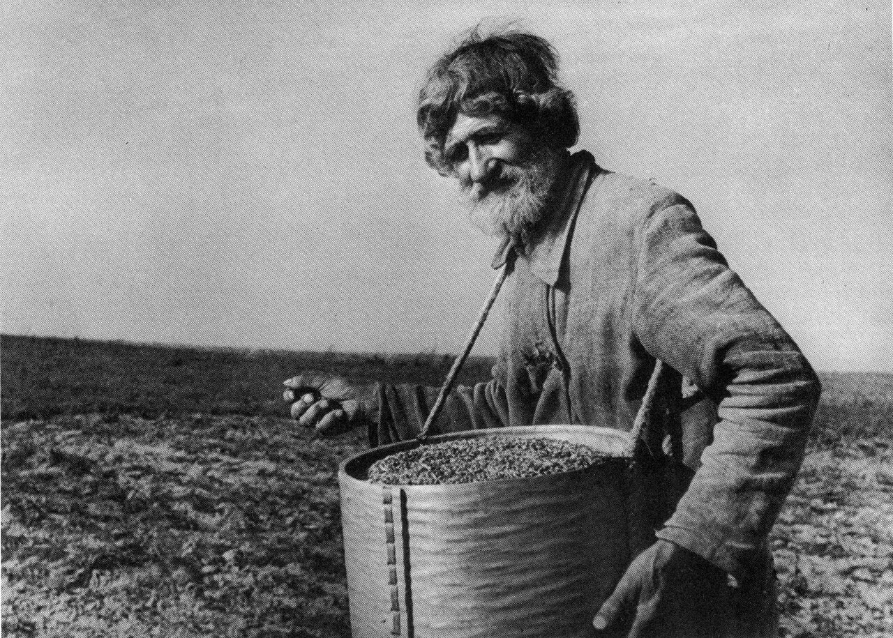 Уборка льна вручную. Сеем старый. Сеем старый. Крестьянин. Новогодние посевалки.