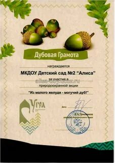 Заведующему мкдоу