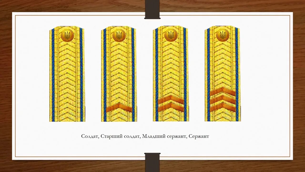 Погоны армии Скоропадского. Погоны гетмана Скоропадского. Парадные погоны армии Украины. Погоны офицеров Украины. Погоны украины