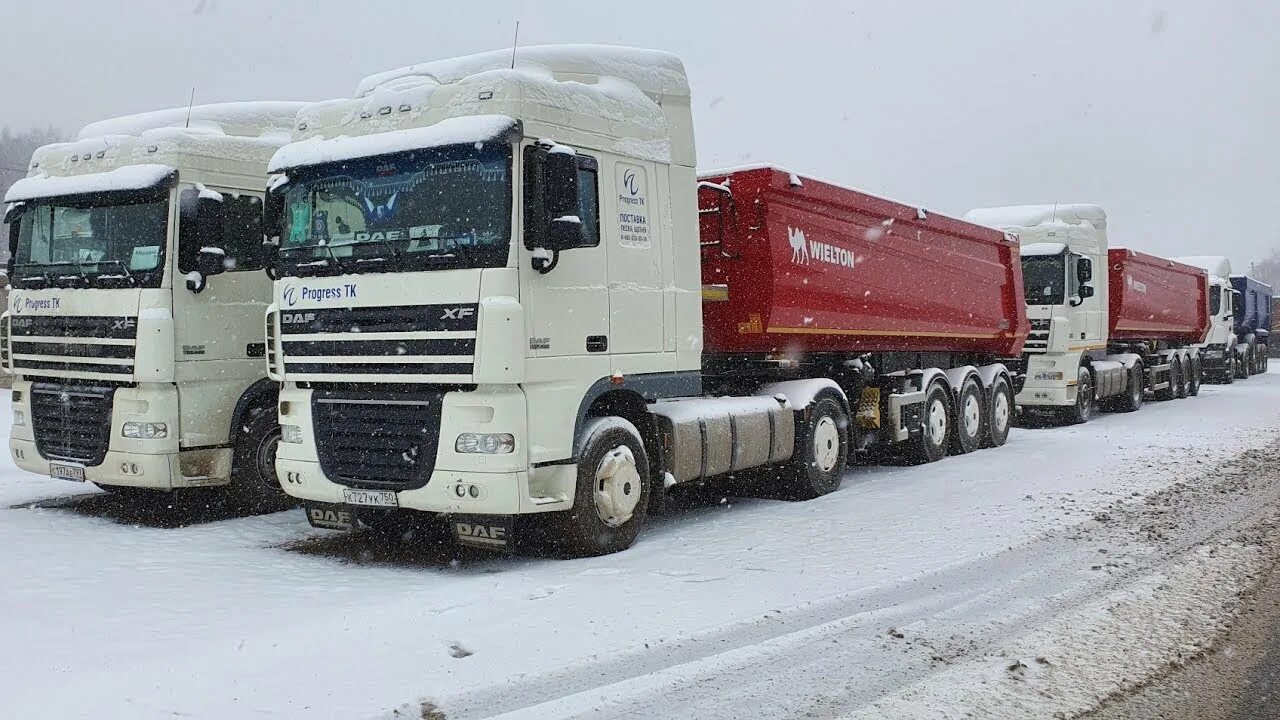 Даф 105 большегруз 40 рус. Даф 105 большегруз. DAF XF 105 Тонар. DAF XF 105 большегруз 40 рус.