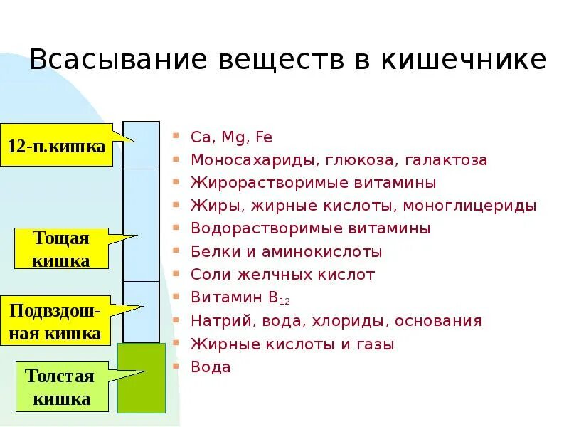 Основное всасывание веществ происходит. Всасываемые вещества в тонком кишечнике. всасывание различных веществ в тонкой кишке. всасывание веществ в тонком кишечнике. в тонком кишечнике происходит всасывание каких веществ.