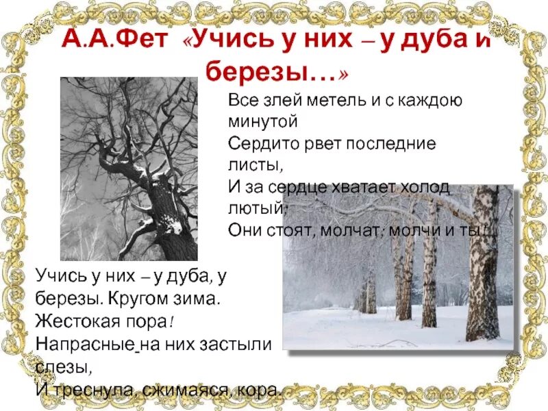 Стих учись у дуба у березы. Учись у них у дуба у березы Фет. Кругом зима жестокая пора. Напрасные на них застыли слезы и треснула сжимаяся кора. Учись у них у дуба у березы кругом зима жестокая пора.